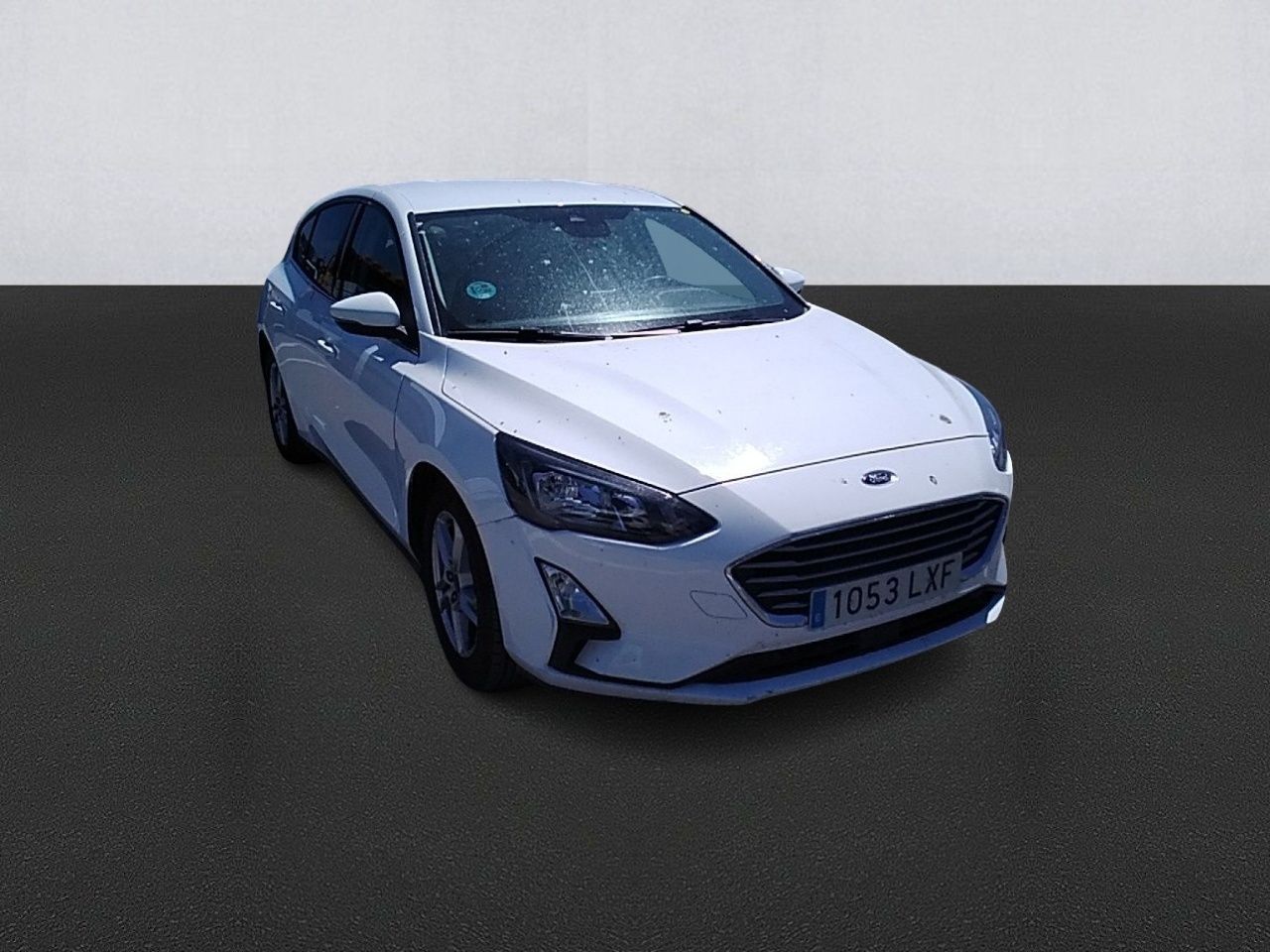 ford focus 2022 / foto grande (3)