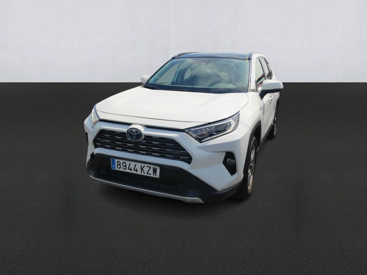 toyota rav4 2019 /