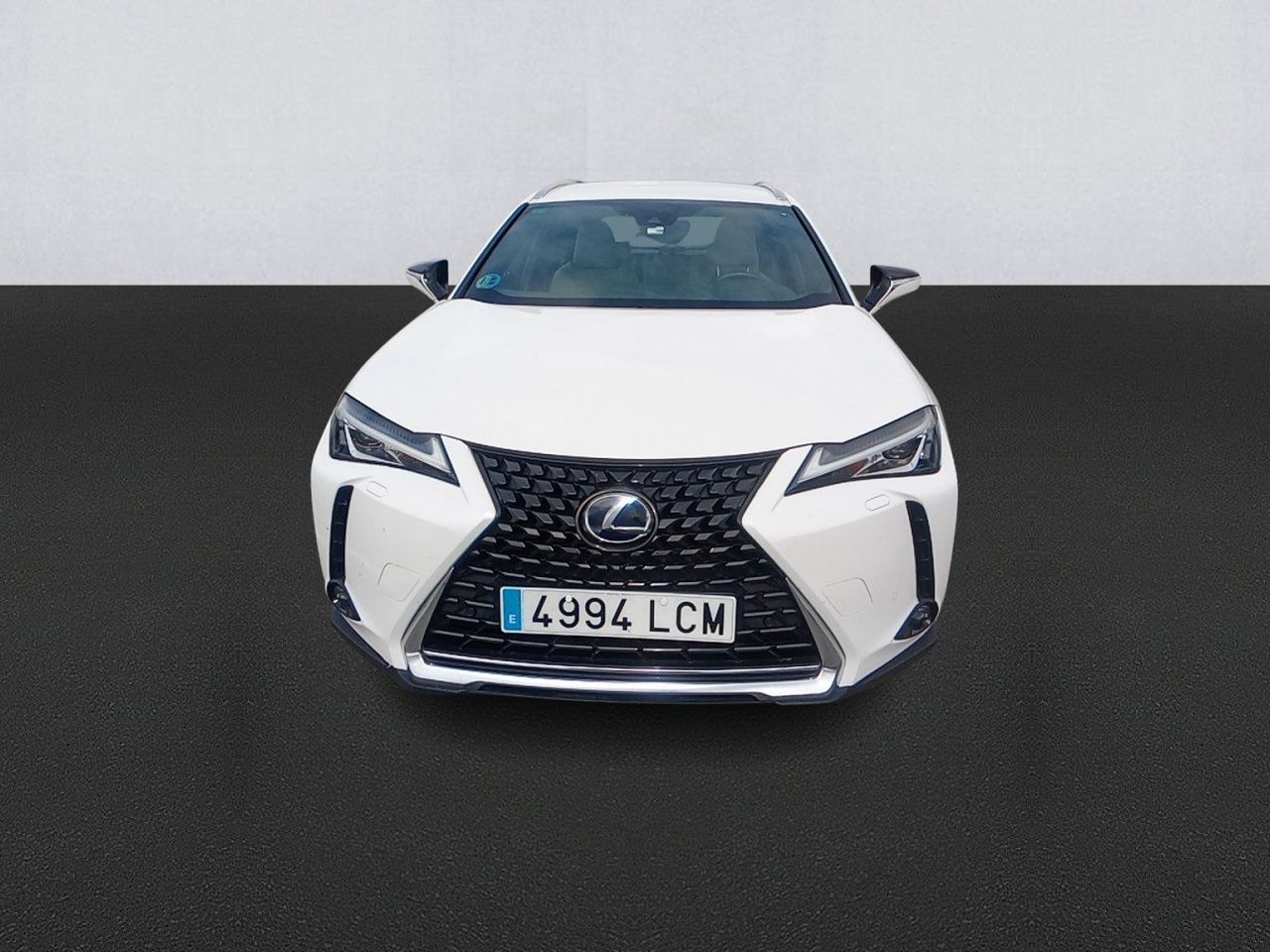 lexus ux 2019 / foto grande (2)