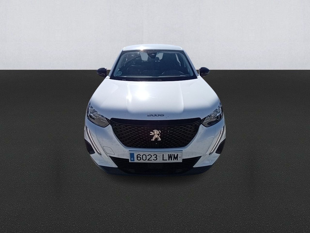 peugeot 2008 2022 / foto grande (2)