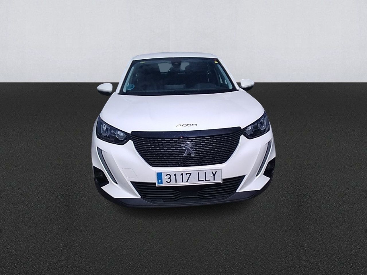 peugeot 2008 2020 / foto grande (2)