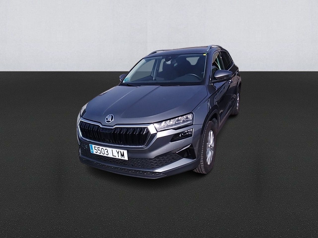 skoda karoq 2022 /
