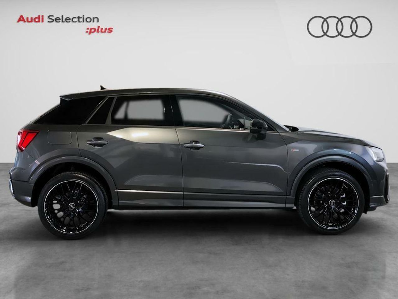 audi q2 2024 / foto grande (3)