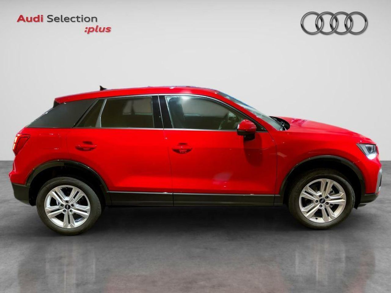 audi q2 2023 / foto grande (3)