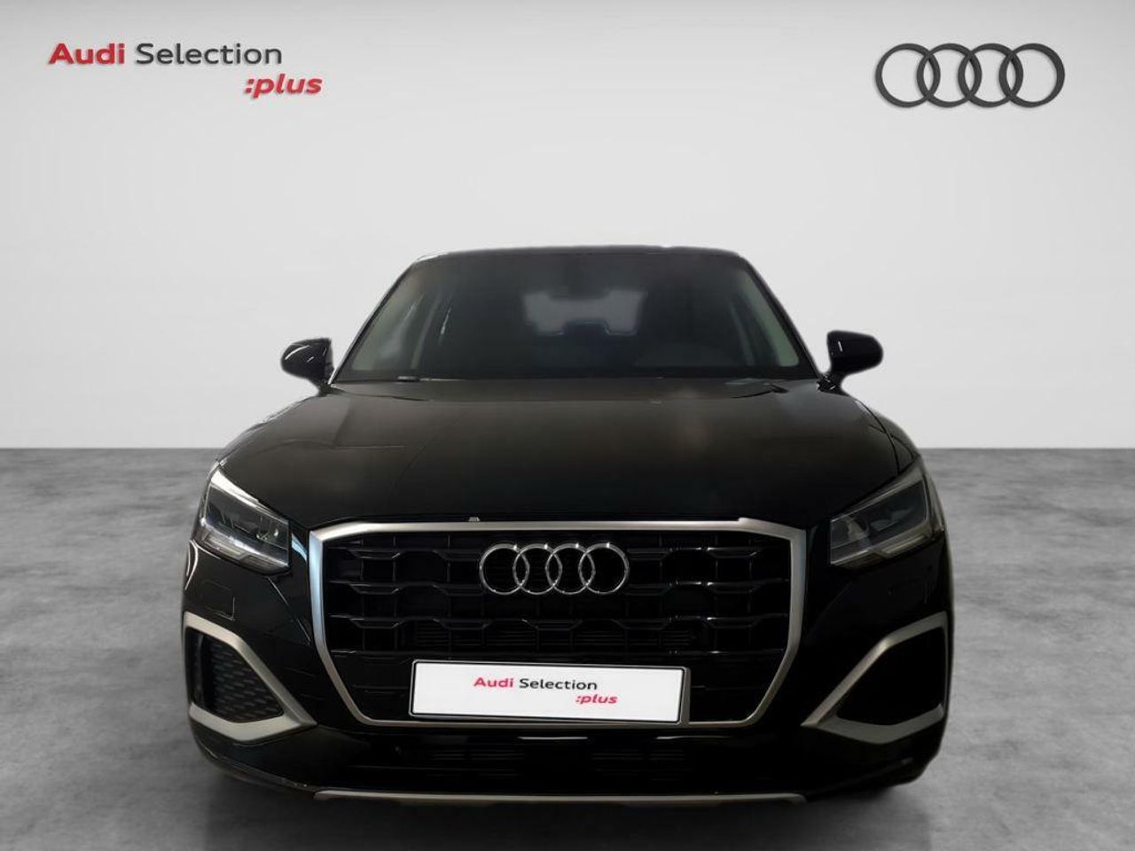 audi q2 2024 / foto grande (2)