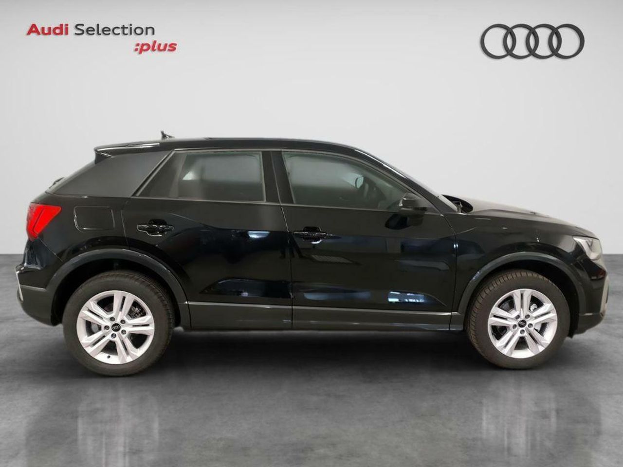 audi q2 2024 / foto grande (3)