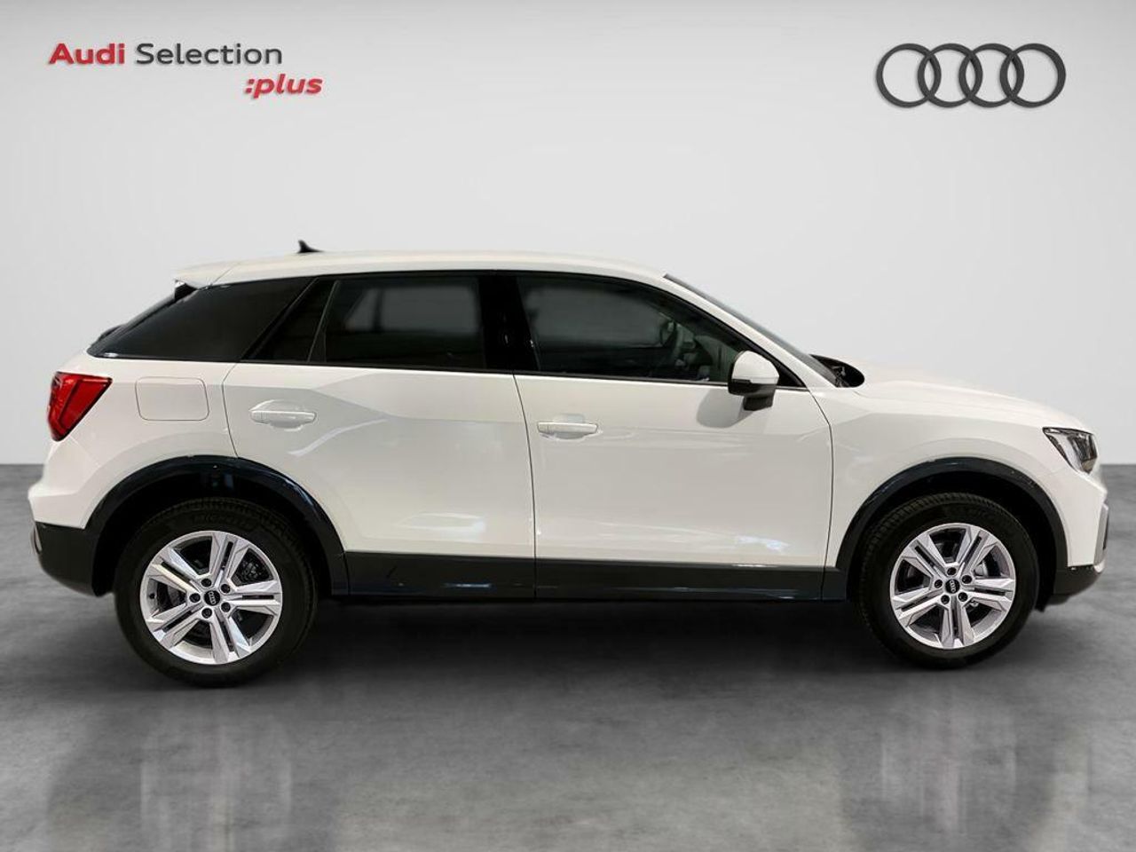 audi q2 2024 / foto grande (3)