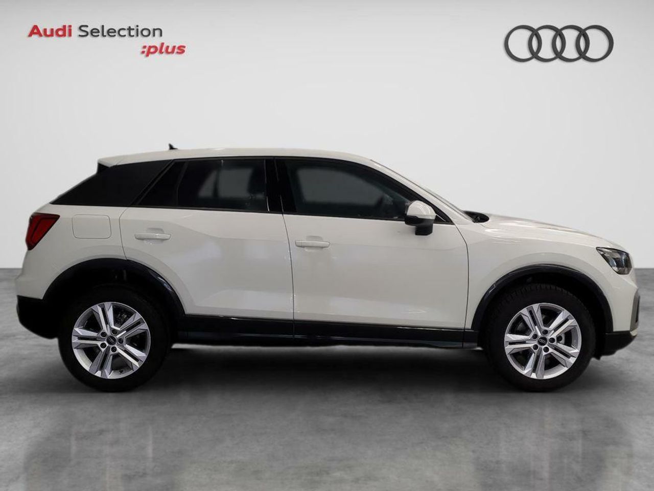 audi q2 2024 / foto grande (3)