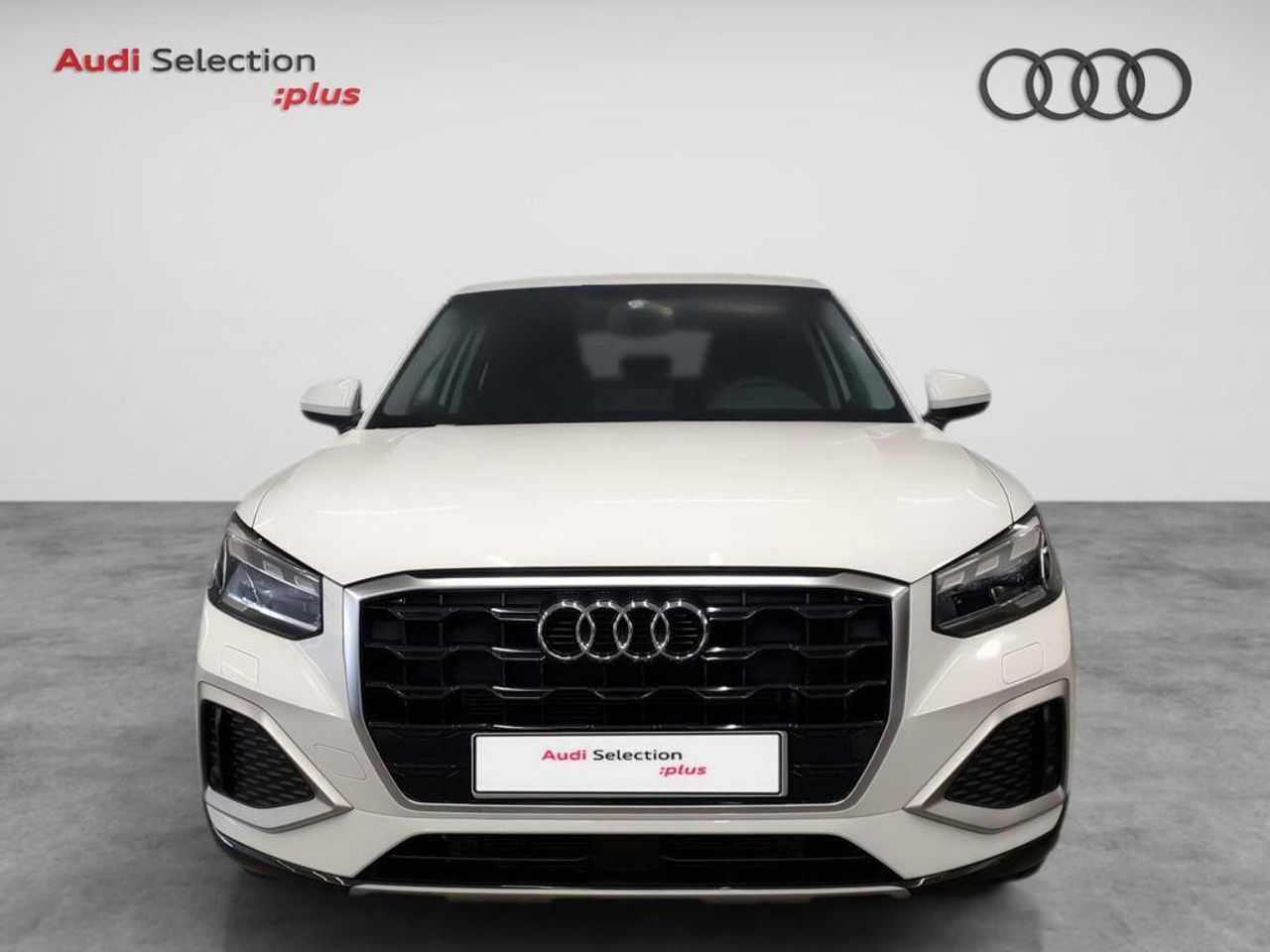 audi q2 2024 / foto grande (2)