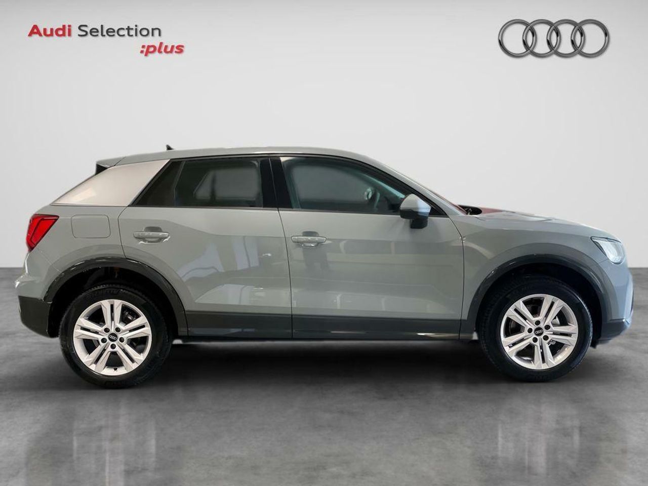 audi q2 2024 / foto grande (3)