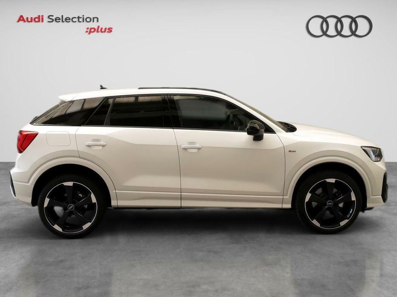 audi q2 2024 / foto grande (3)