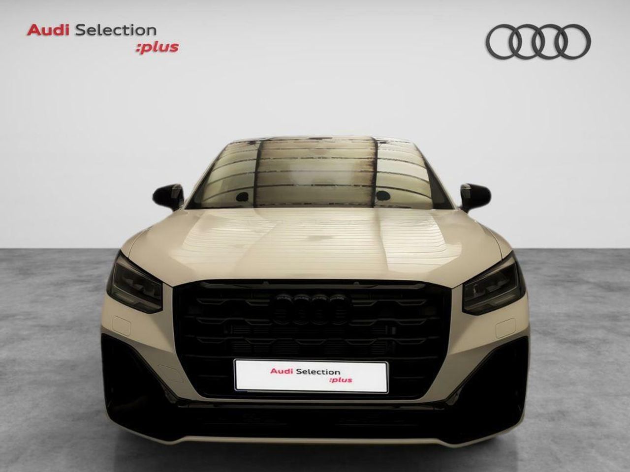 audi q2 2024 / foto grande (2)