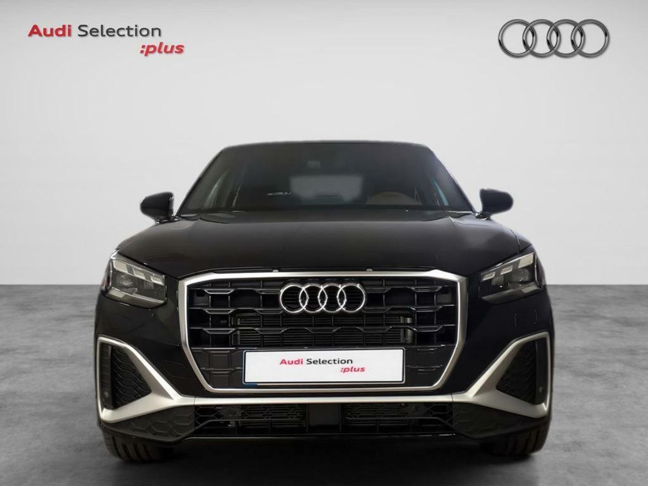 audi q2 2024 / foto grande (2)