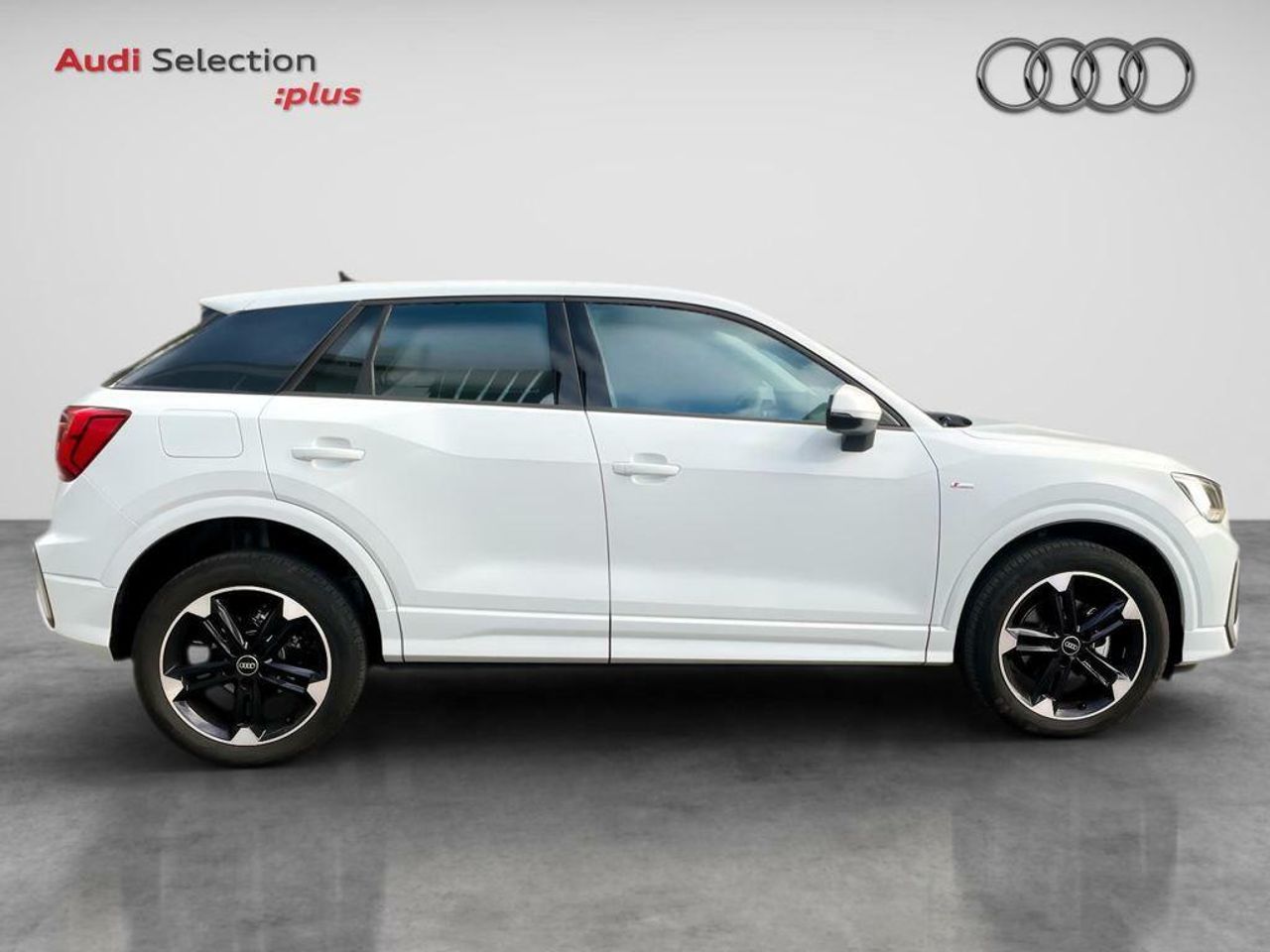 audi q2 2023 / foto grande (3)