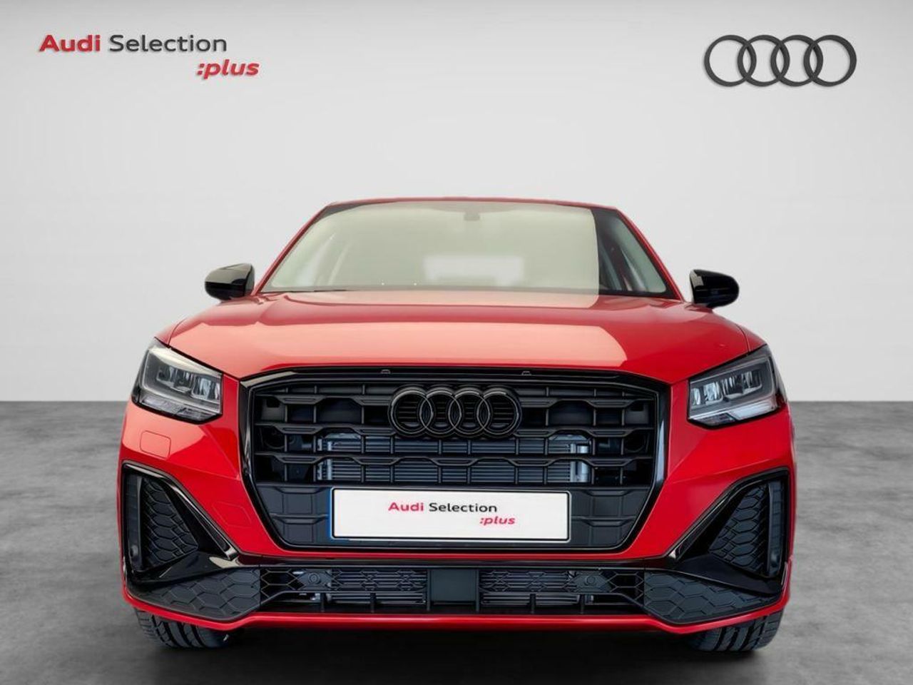 audi q2 2024 / foto grande (2)