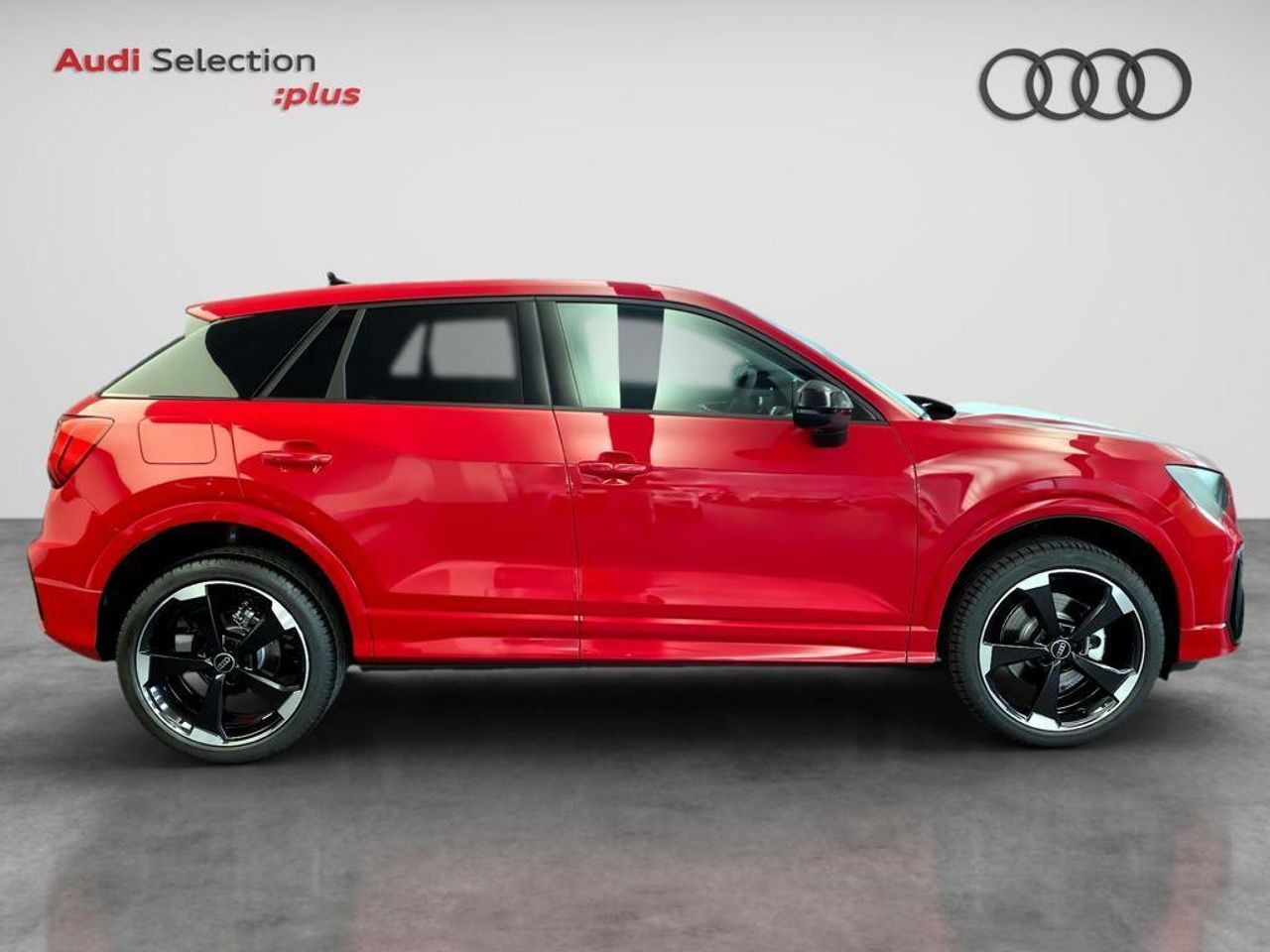 audi q2 2024 / foto grande (3)