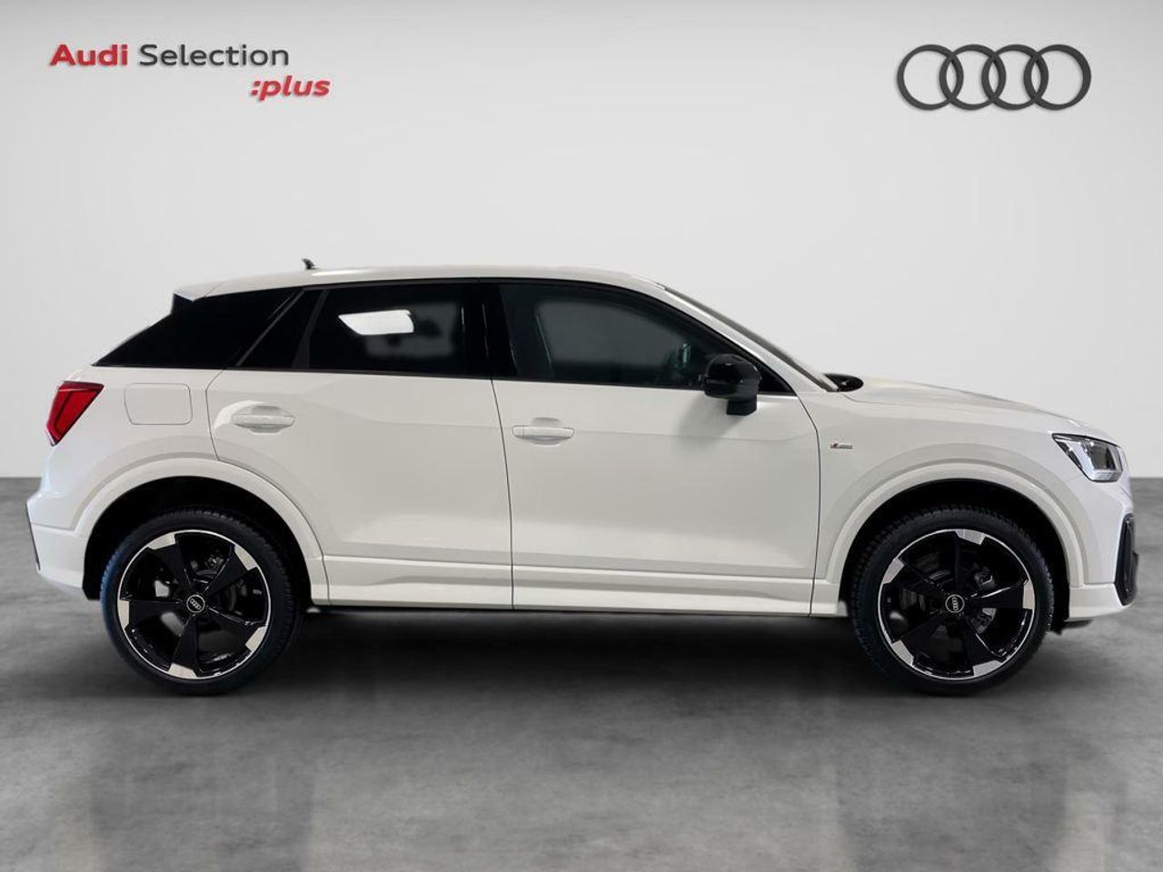 audi q2 2024 / foto grande (3)