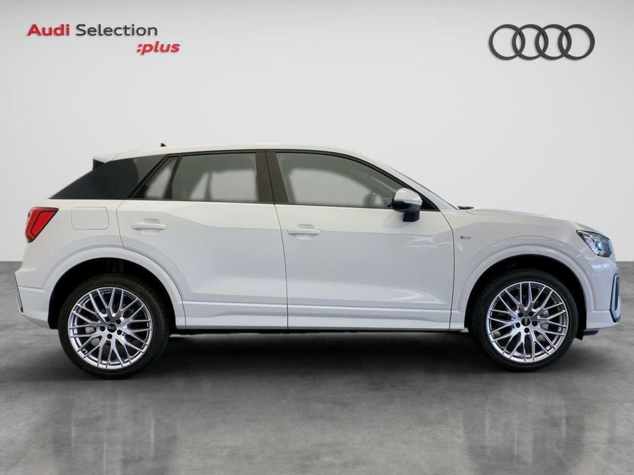 audi q2 2024 / foto grande (3)