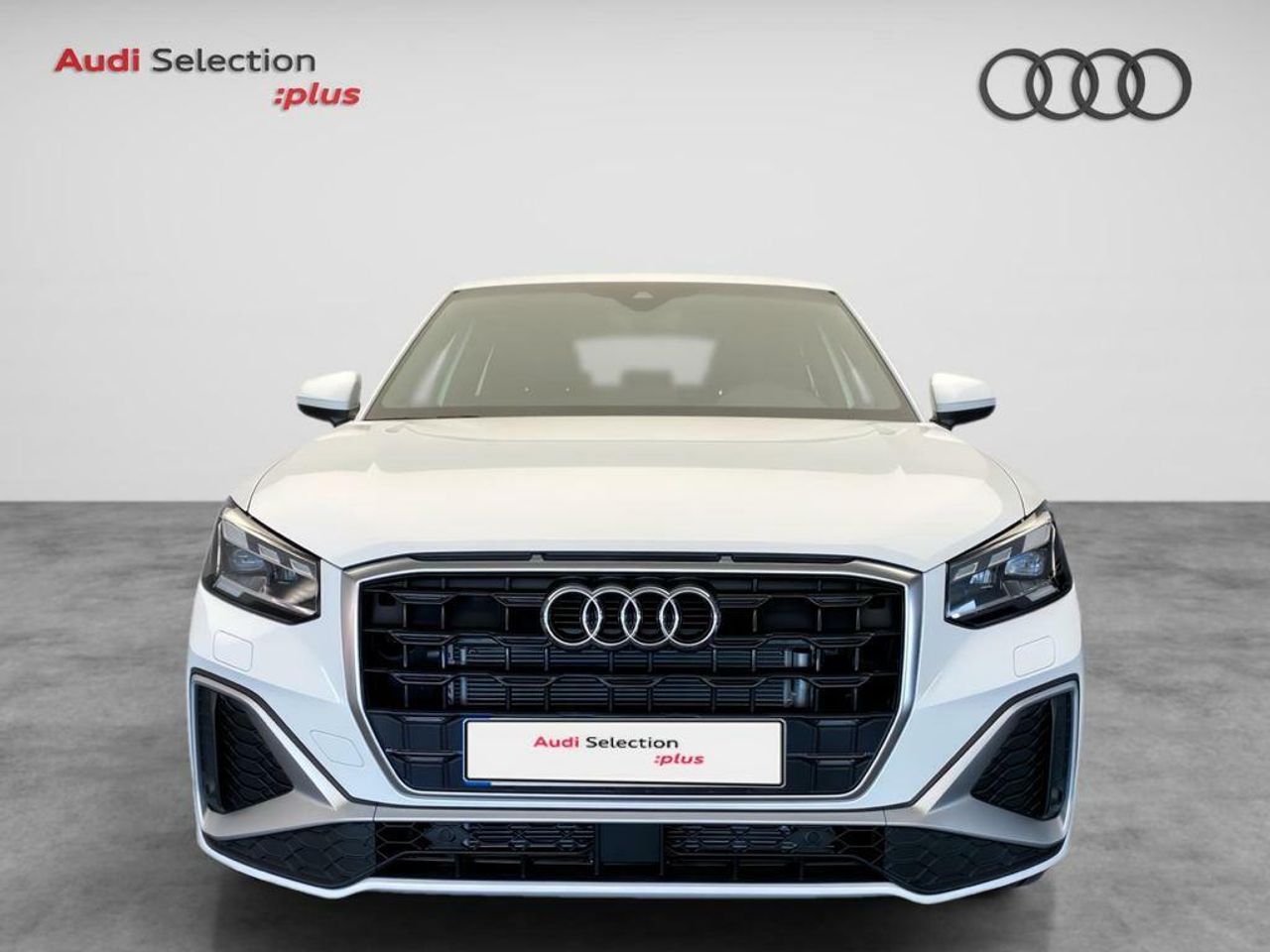 audi q2 2024 / foto grande (2)