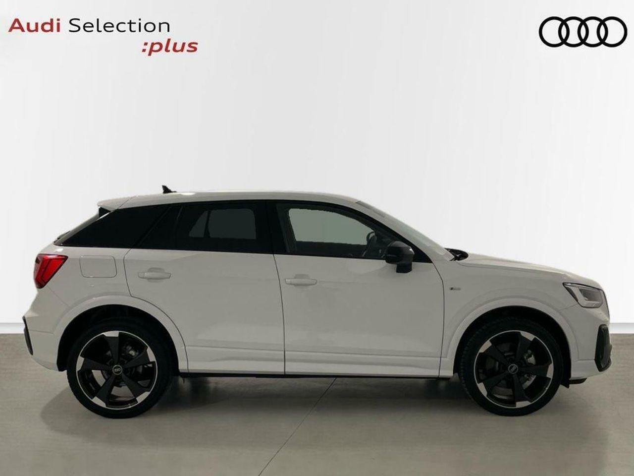 audi q2 2024 / foto grande (3)