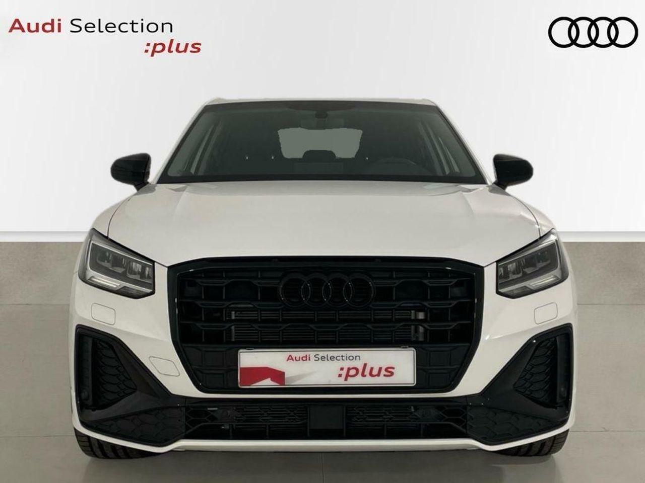 audi q2 2024 / foto grande (2)