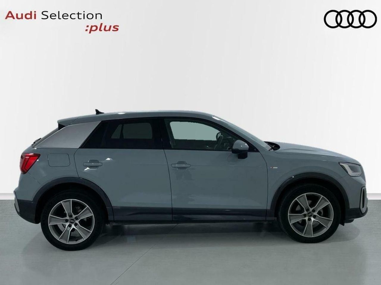 audi q2 2024 / foto grande (3)