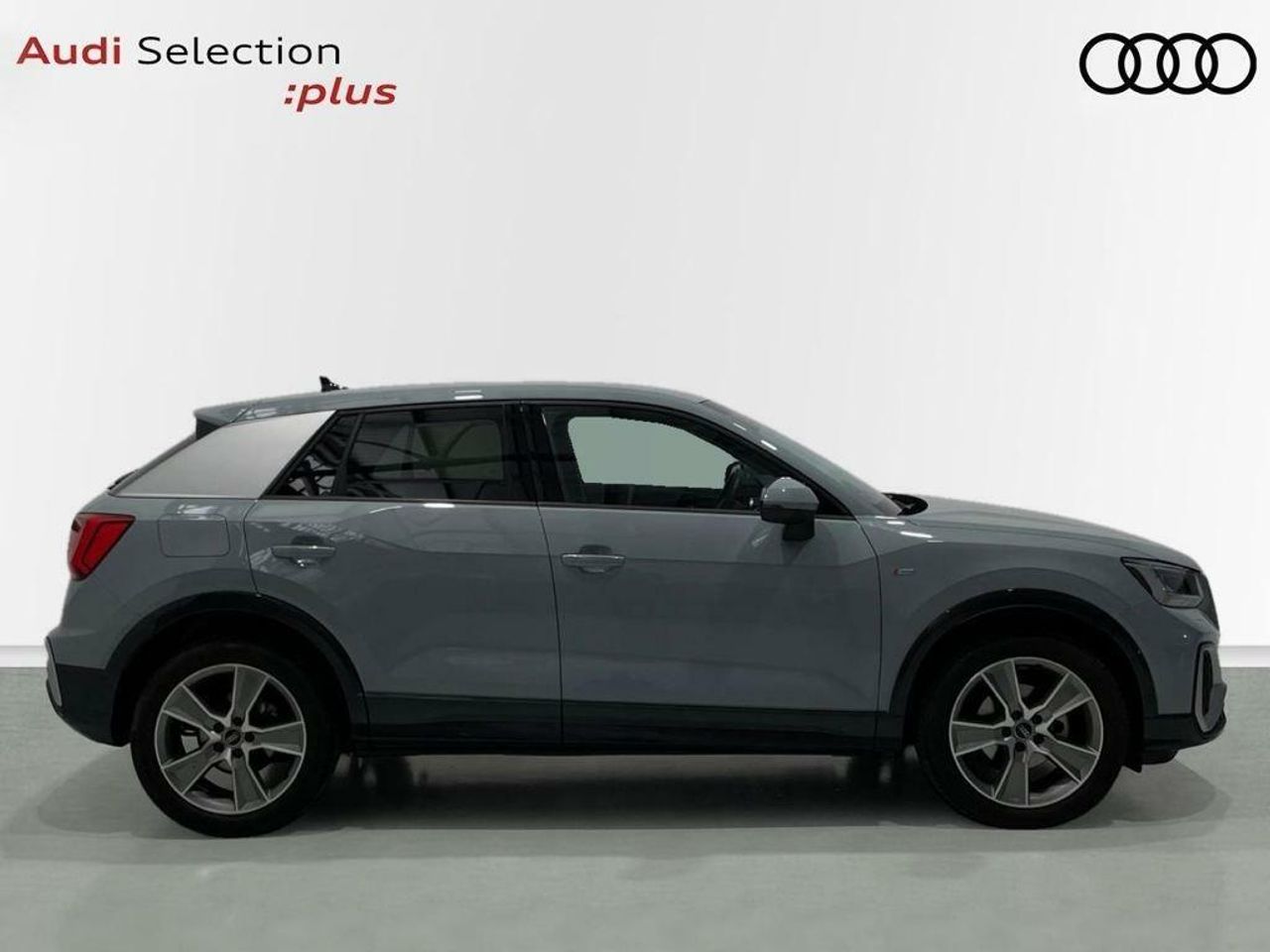 audi q2 2024 / foto grande (3)
