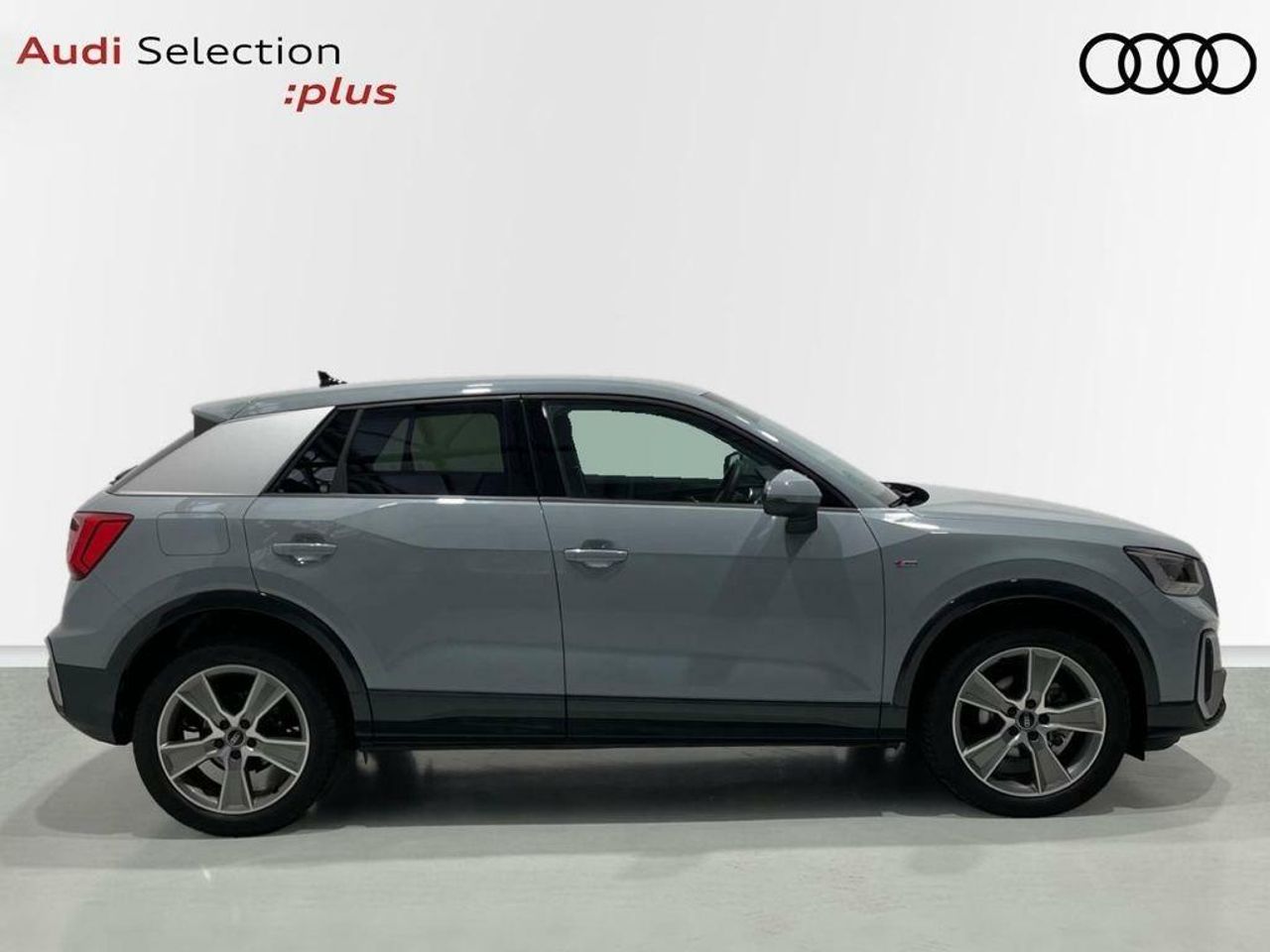 audi q2 2024 / foto grande (3)