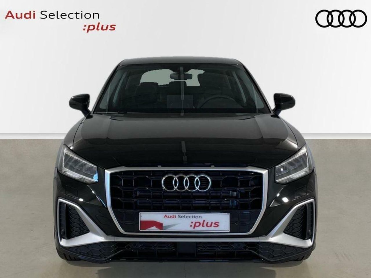 audi q2 2024 / foto grande (2)