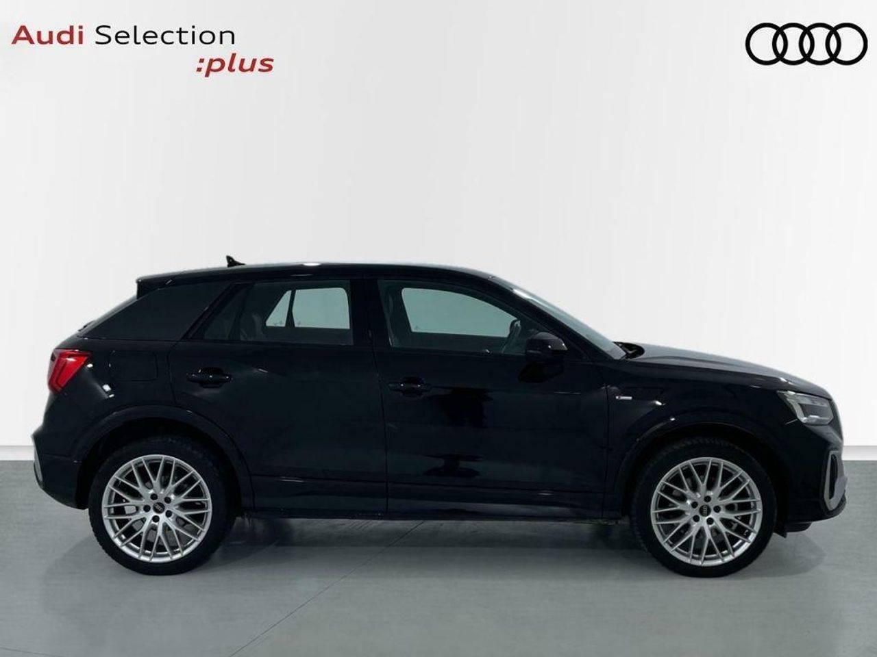 audi q2 2024 / foto grande (3)