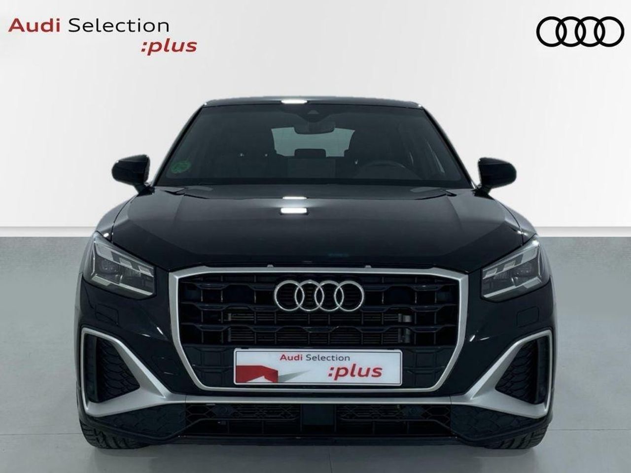 audi q2 2024 / foto grande (2)