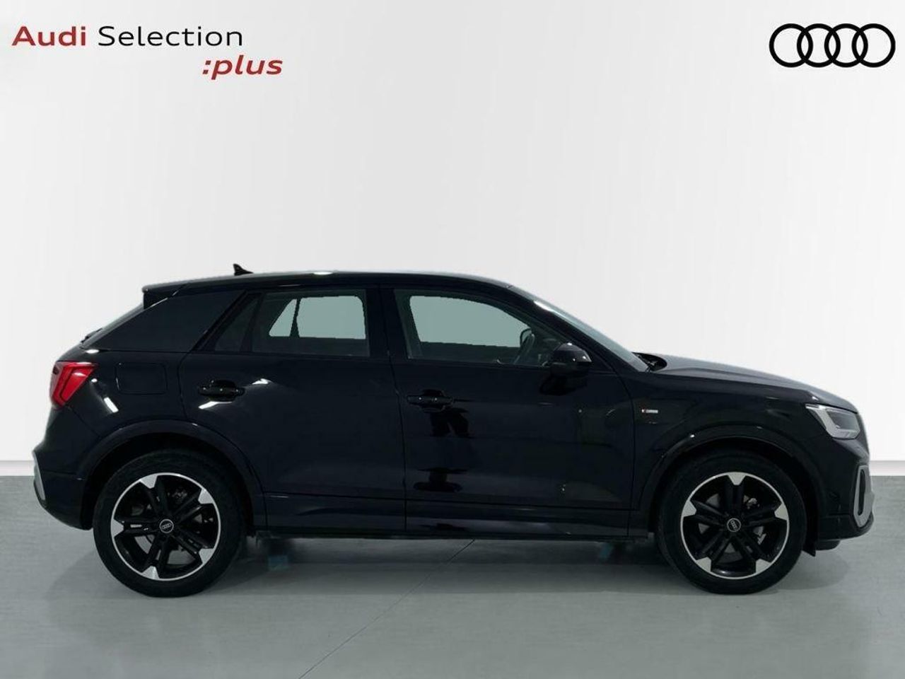 audi q2 2023 / foto grande (3)