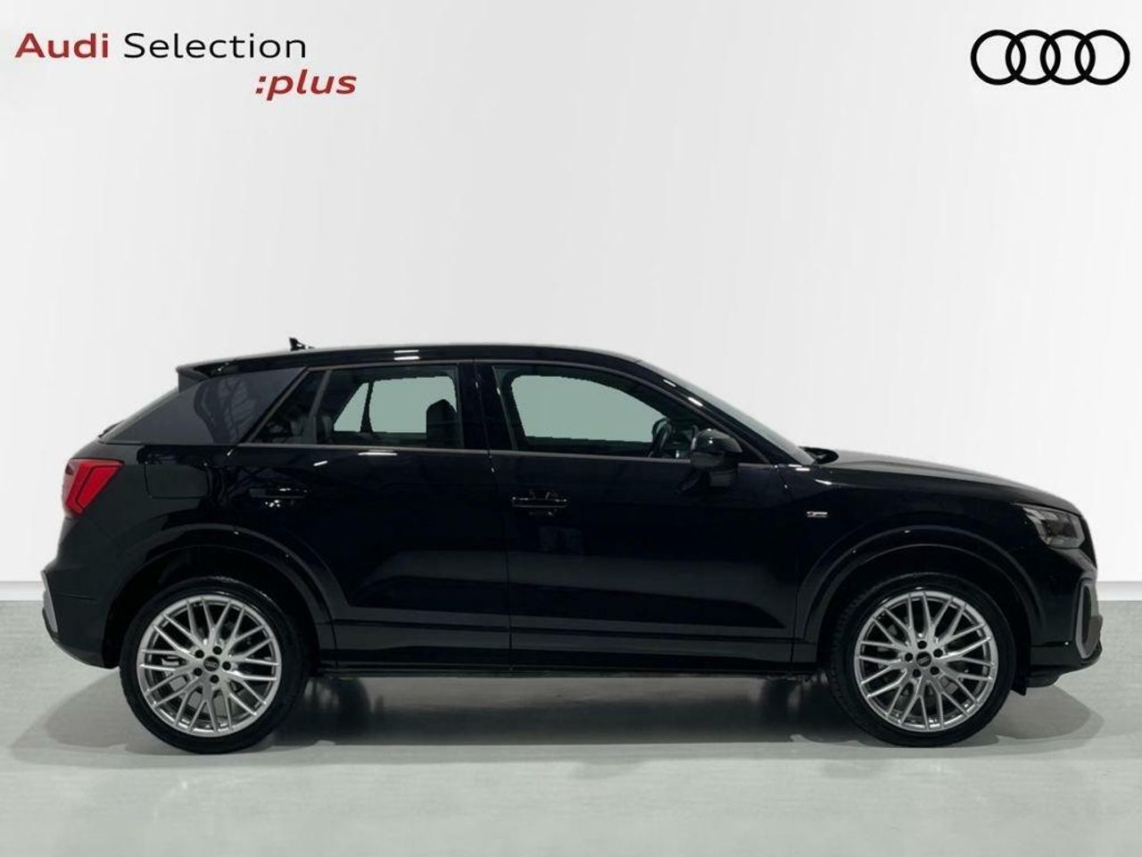 audi q2 2024 / foto grande (3)