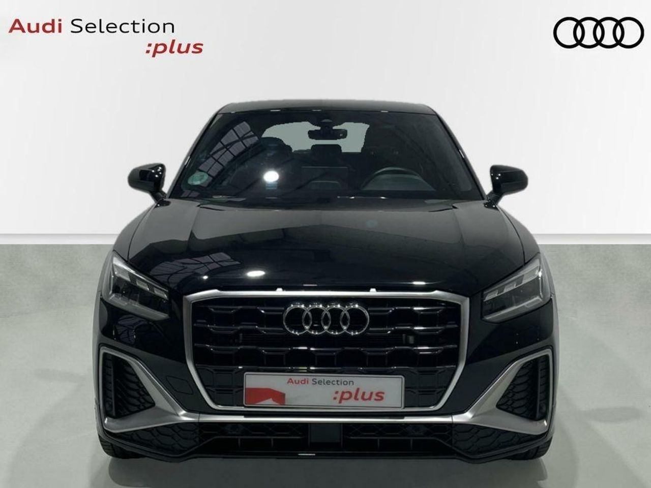 audi q2 2024 / foto grande (2)