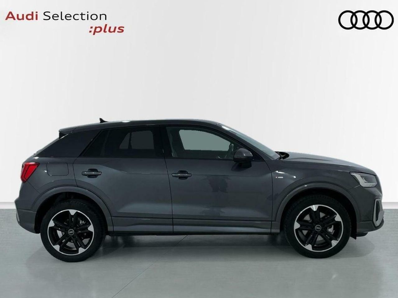 audi q2 2024 / foto grande (3)