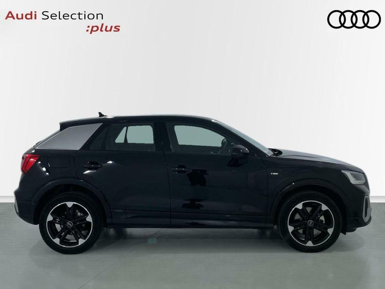 audi q2 2024 / foto grande (3)