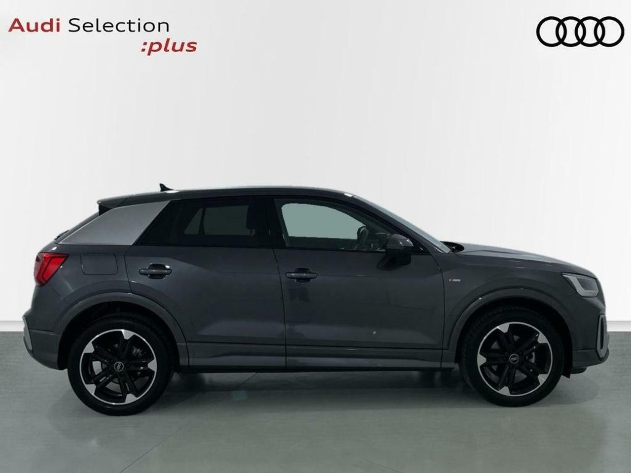 audi q2 2024 / foto grande (3)