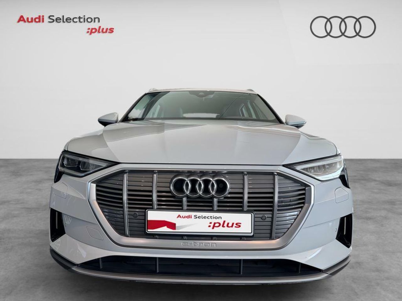 audi e-tron 2020 / foto grande (2)
