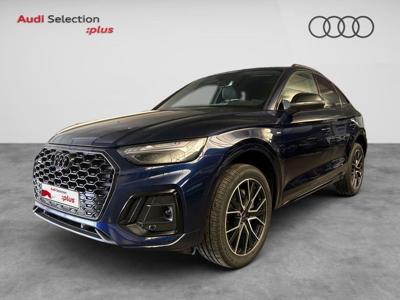 Foto audi q5 2024 /