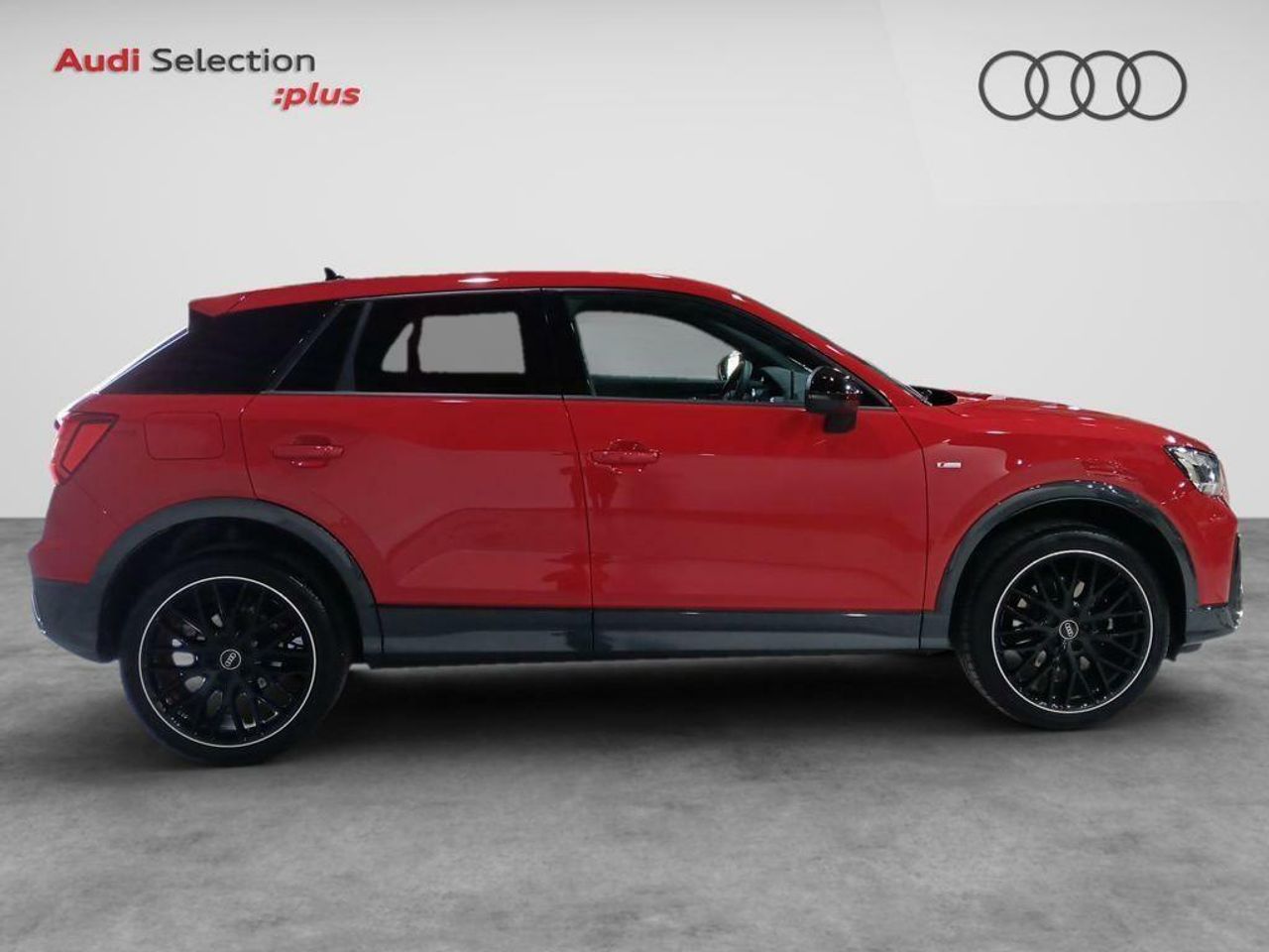 audi q2 2024 / foto grande (3)