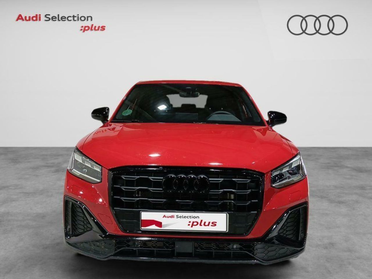 audi q2 2024 / foto grande (2)