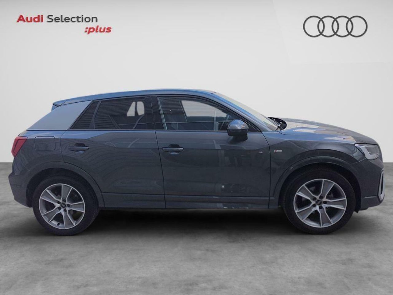 audi q2 2024 / foto grande (3)