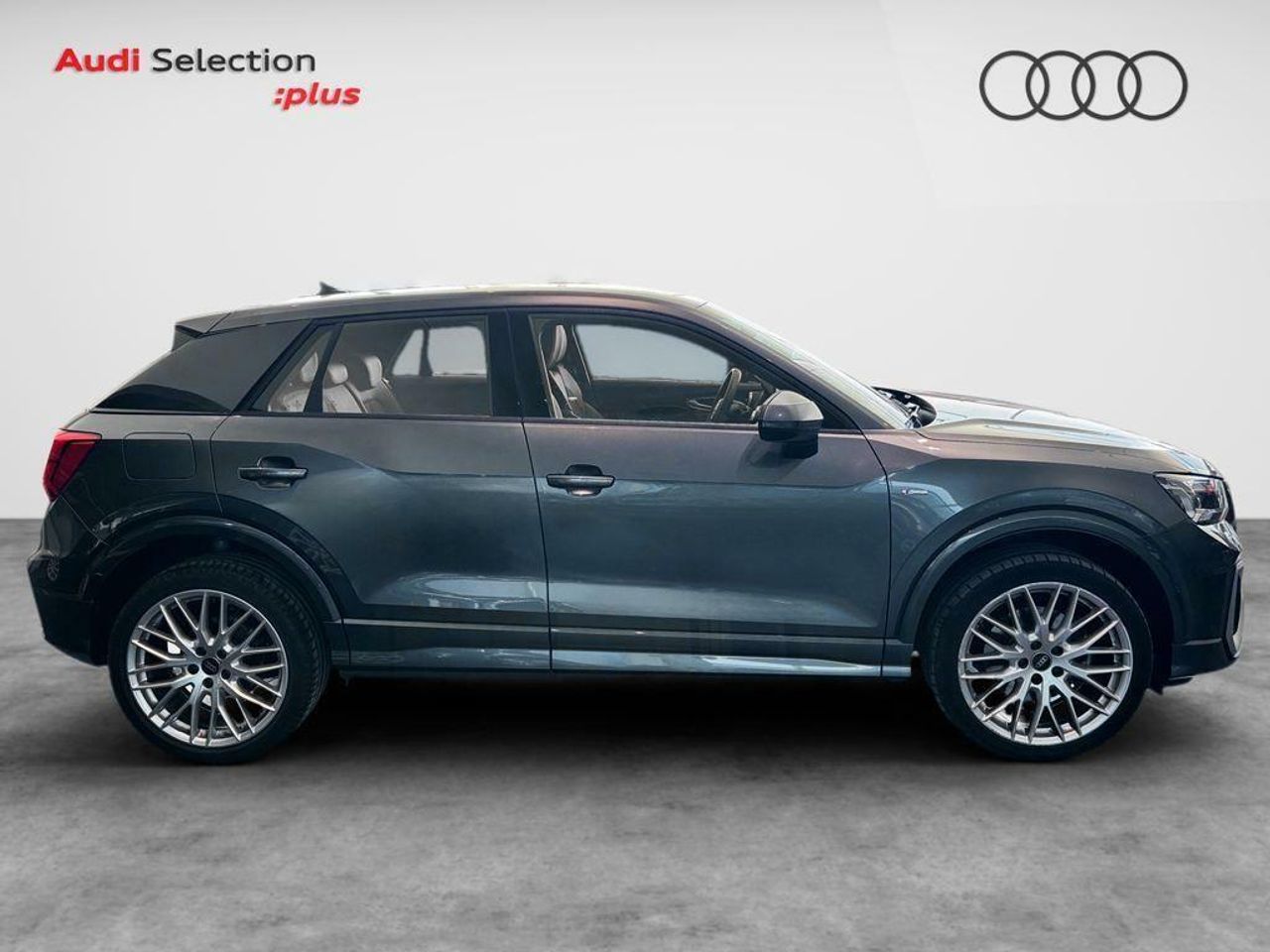 audi q2 2024 / foto grande (3)