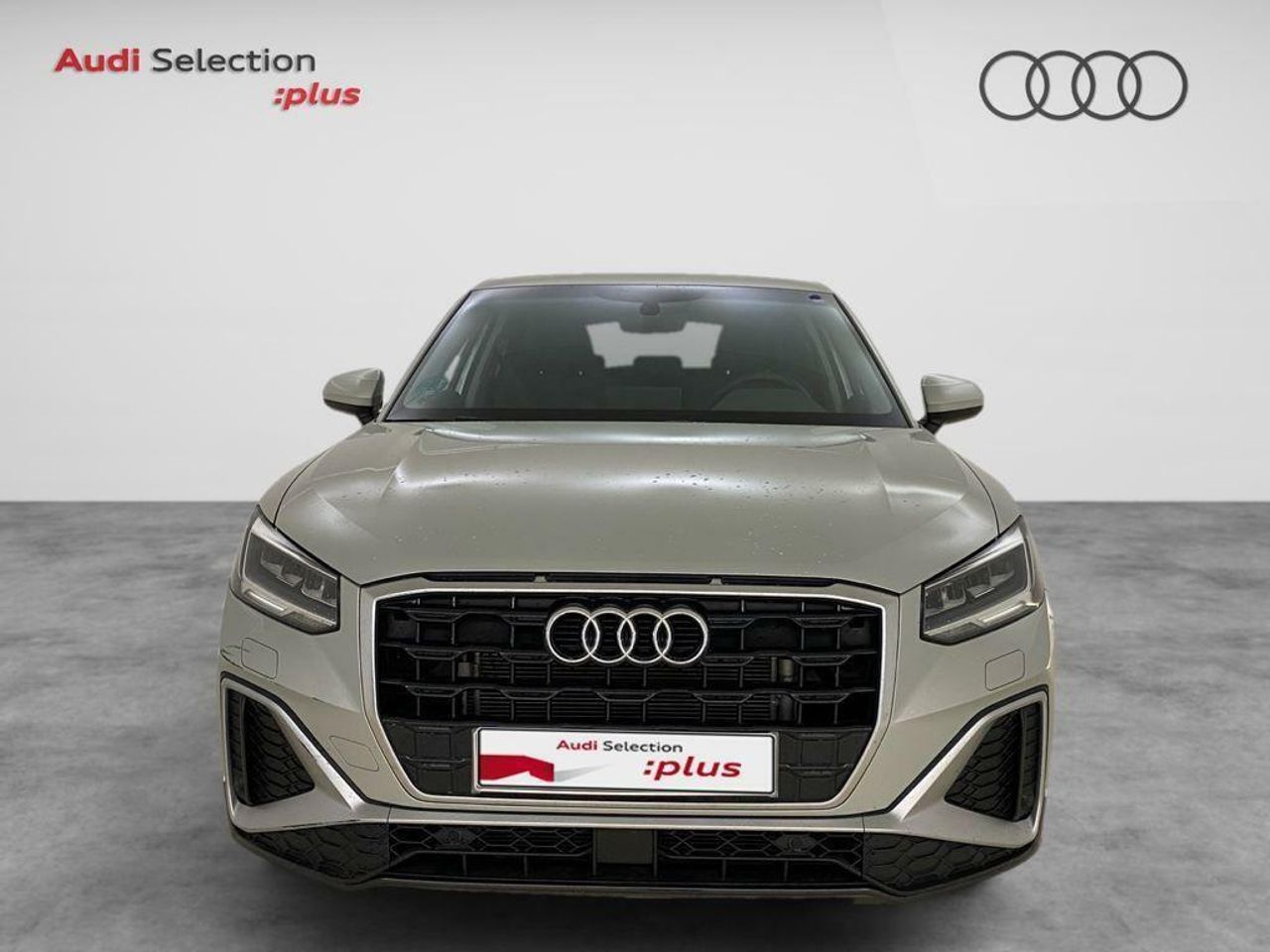audi q2 2024 / foto grande (2)