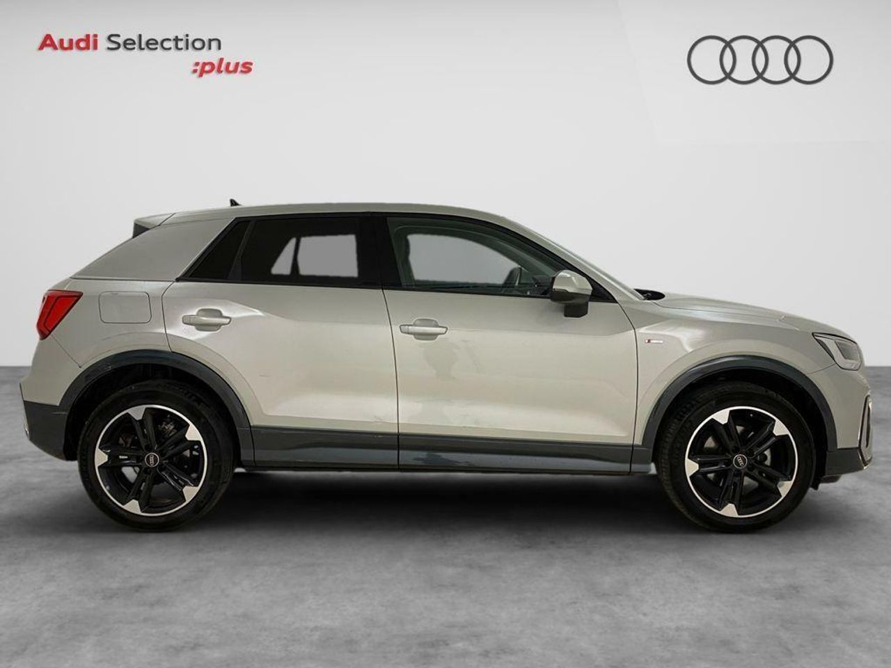 audi q2 2024 / foto grande (3)