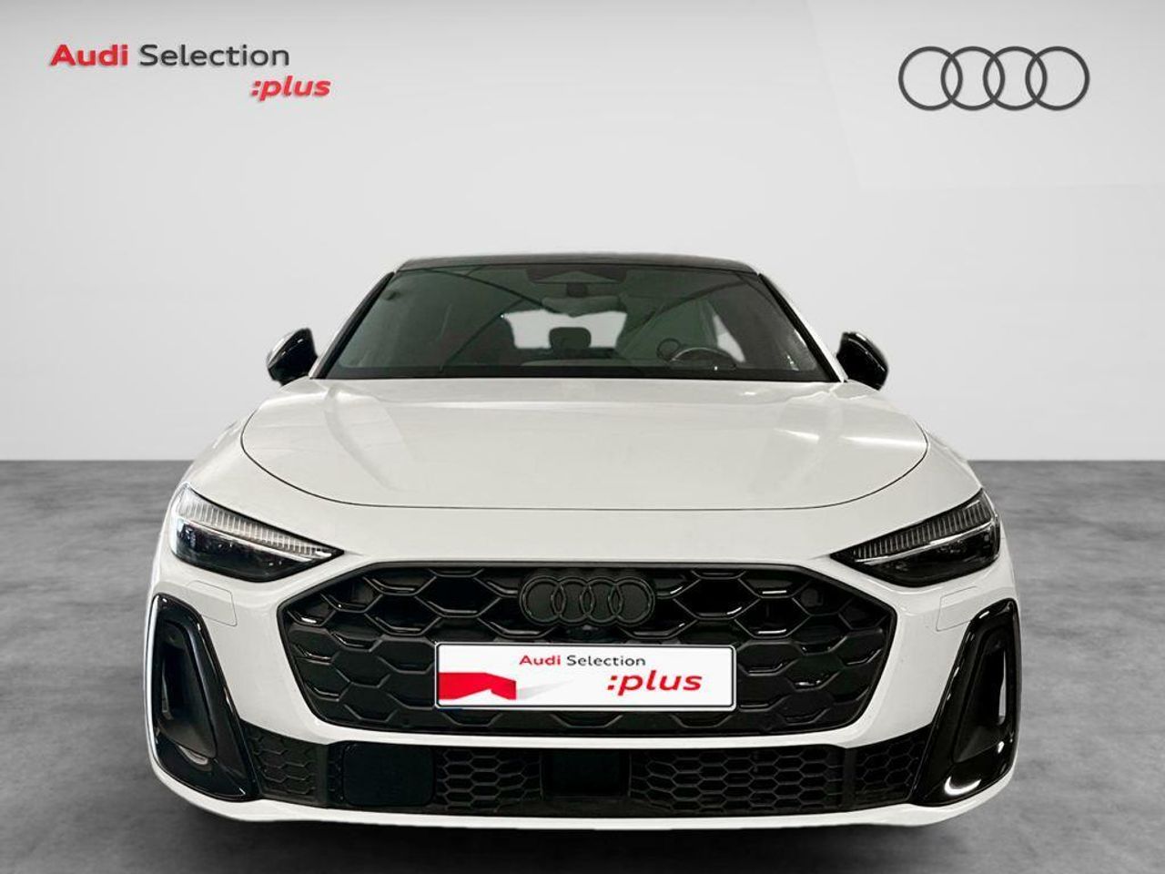 audi s5 2025 / foto grande (2)