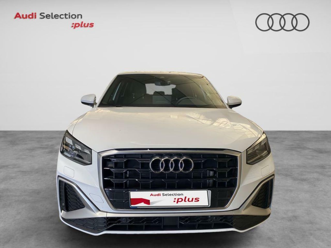 audi q2 2024 / foto grande (2)
