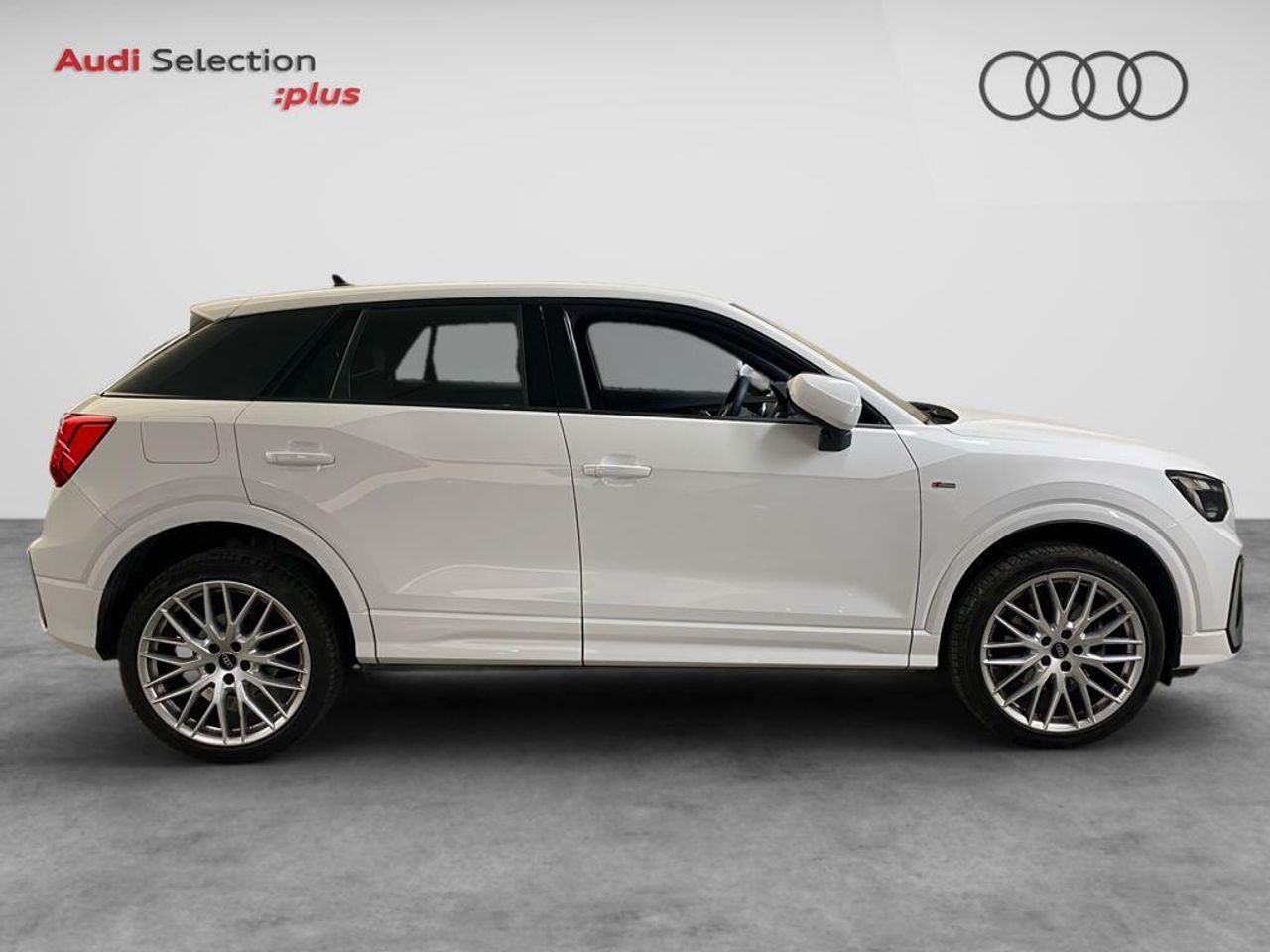 audi q2 2024 / foto grande (3)
