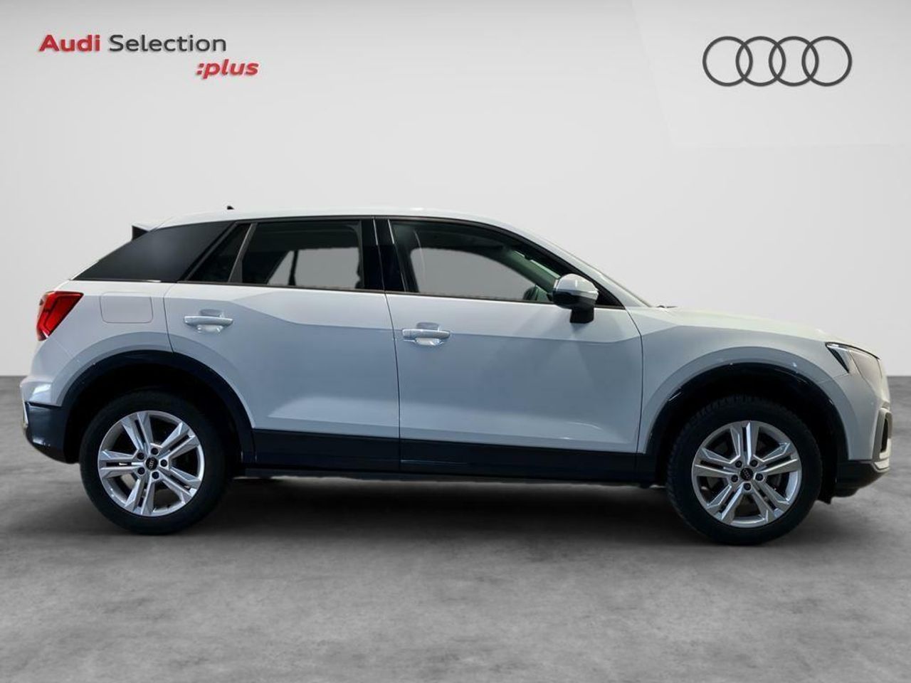 audi q2 2024 / foto grande (3)