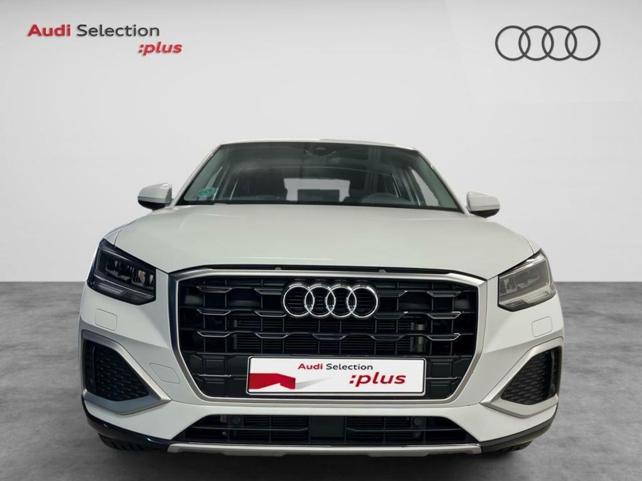 audi q2 2024 / foto grande (2)
